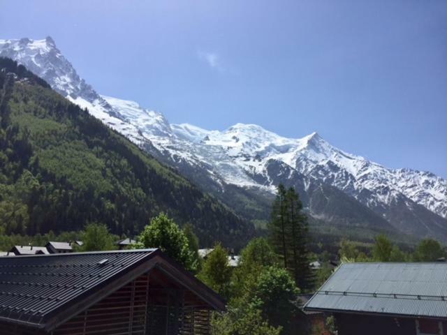 Chamois Blanc Apartment Chamonix Exterior photo